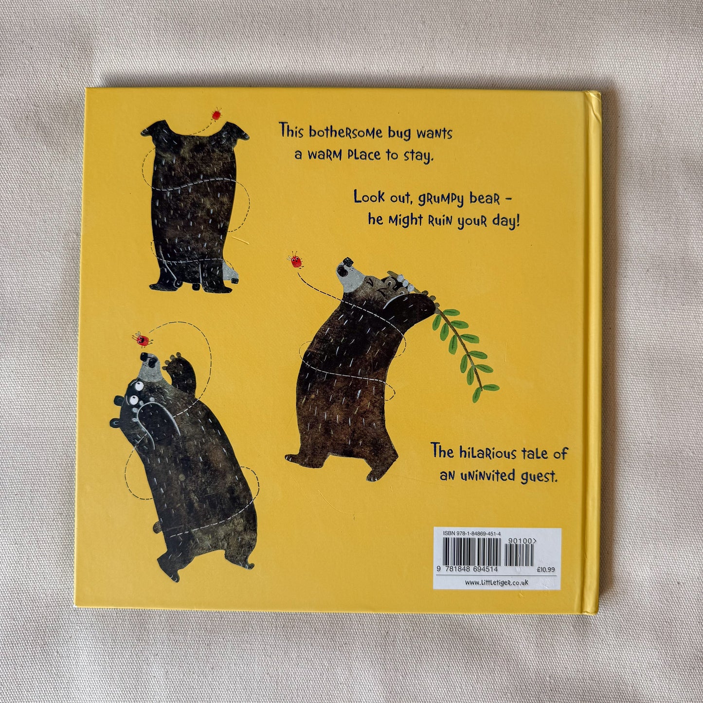 Bug bear - Patricia Hegarty
