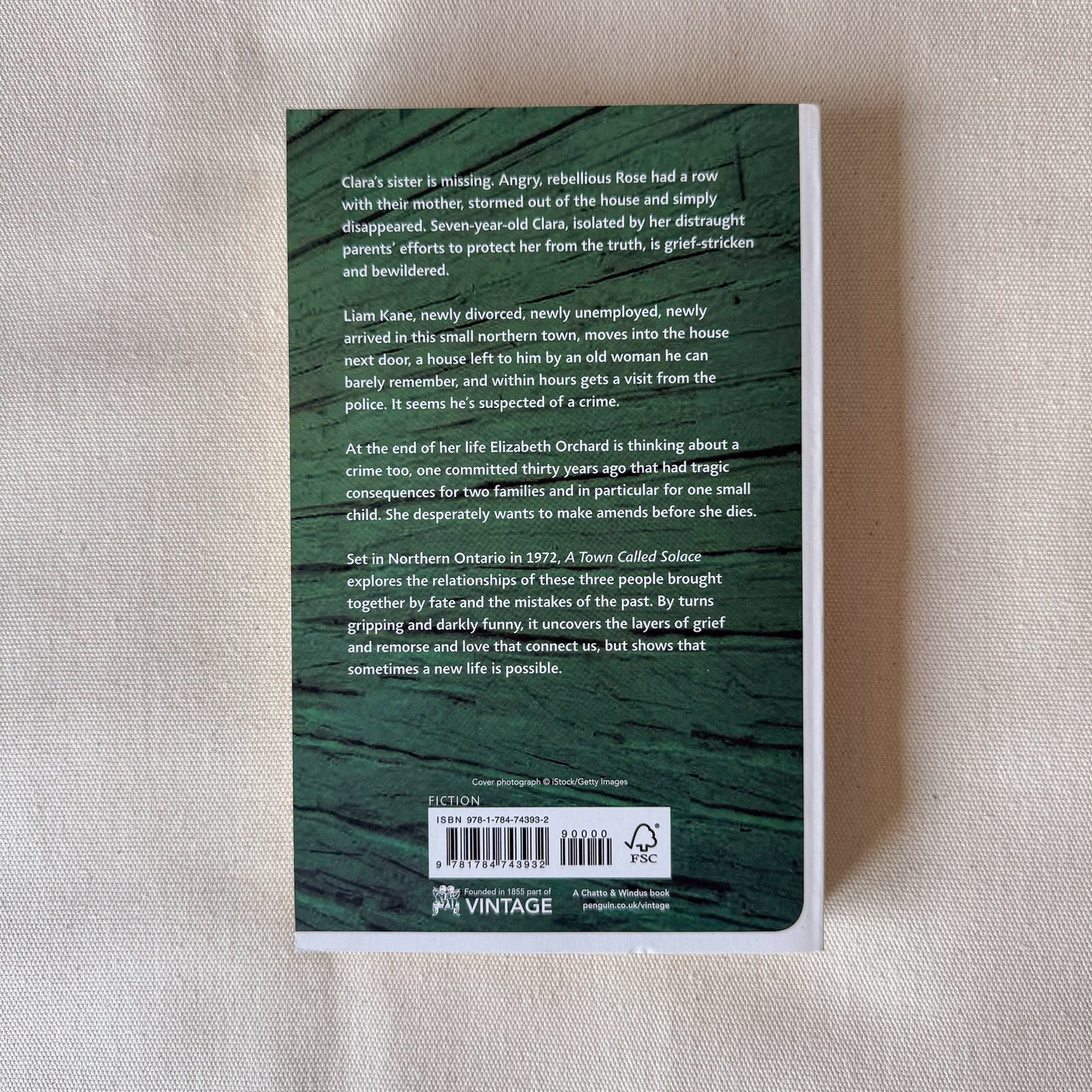 A Town Called Solace - Mary Lawson