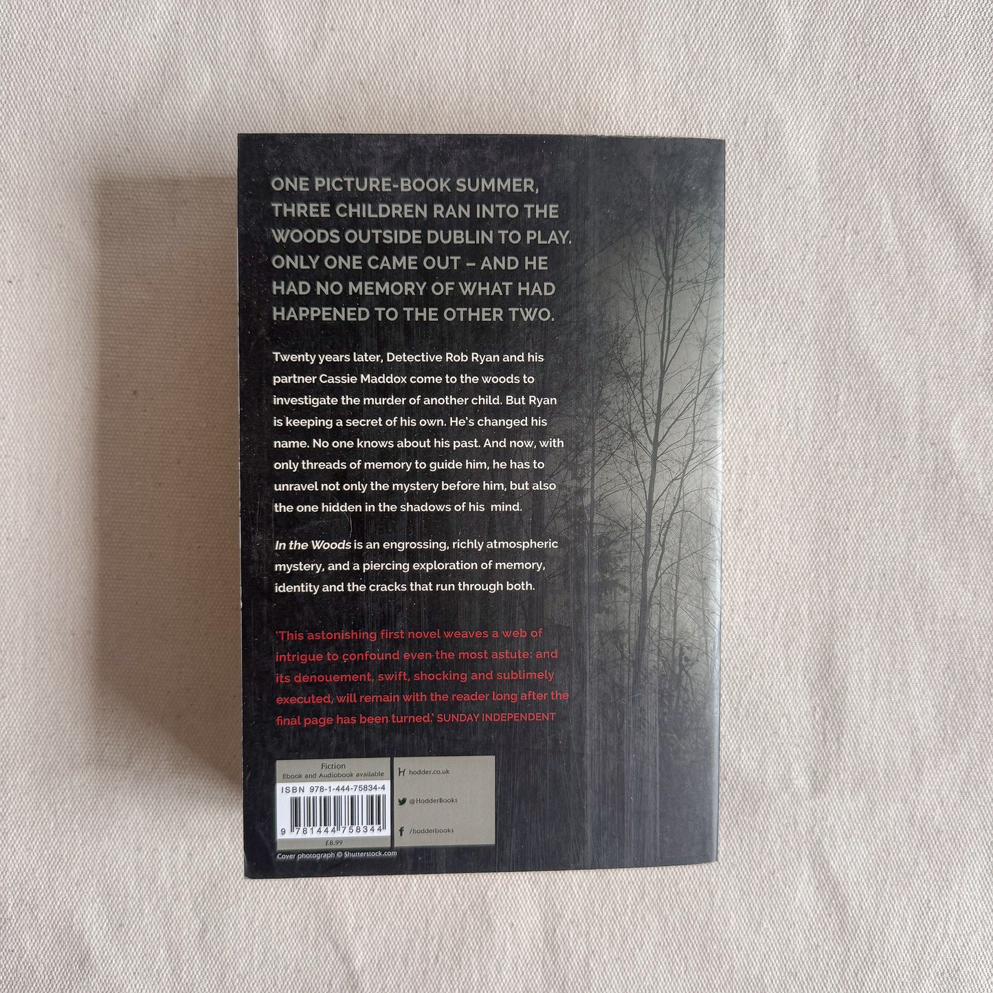 In The Woods - Tana French
