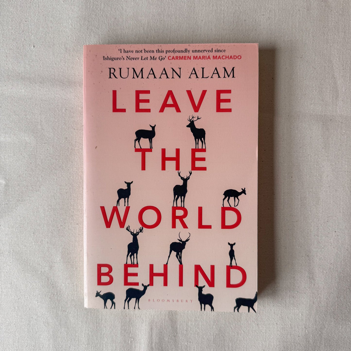 Leave the World Behind - Rumaan Alam