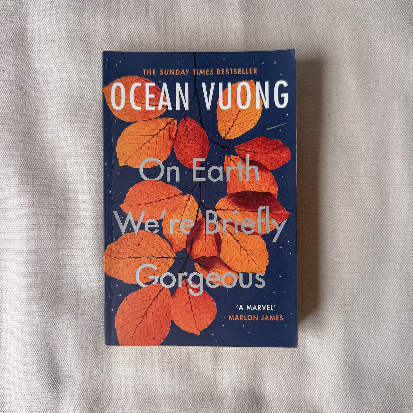 On Earth We're Briefly Gorgeous - Ocean Vuong