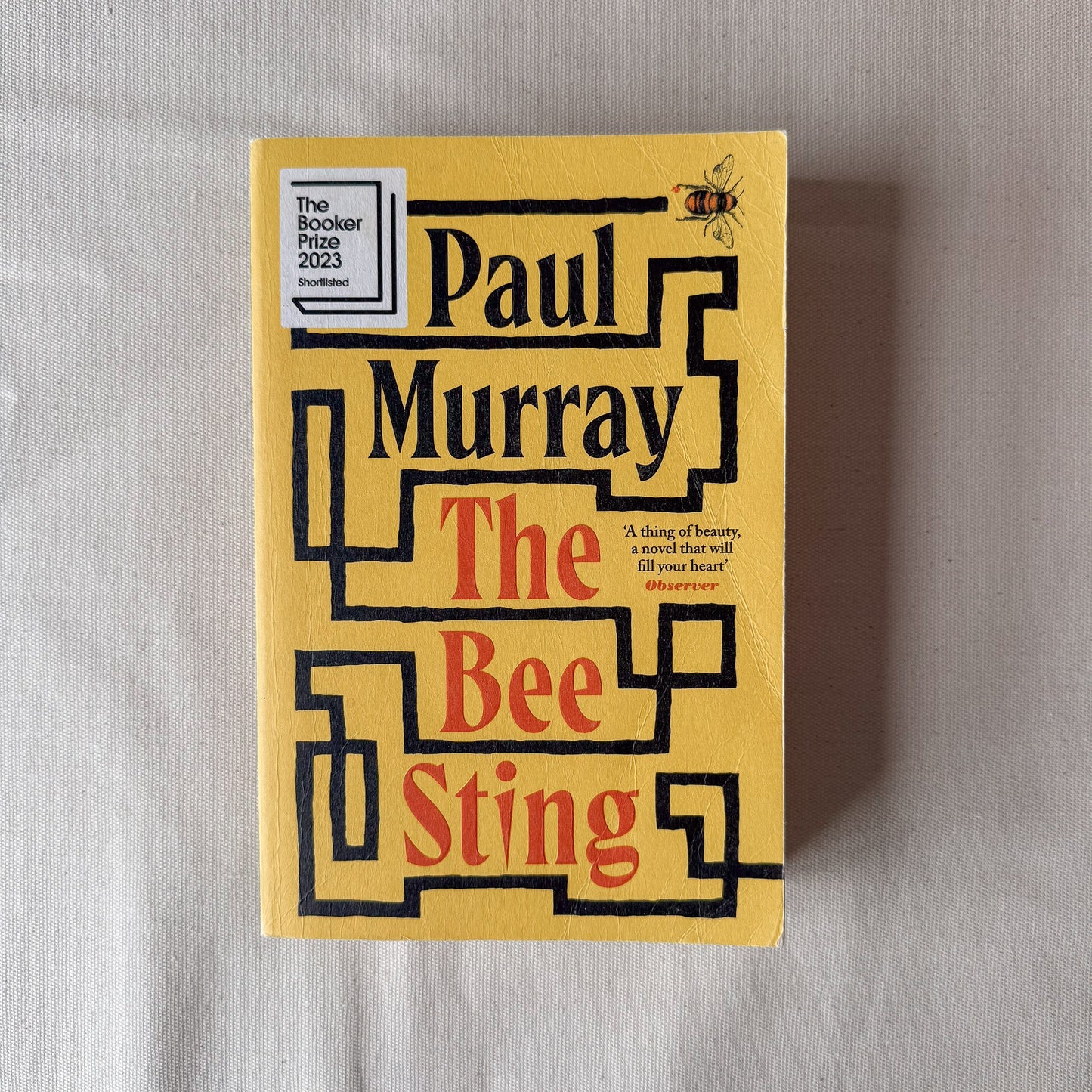 The Bee Sting - Paul Murray