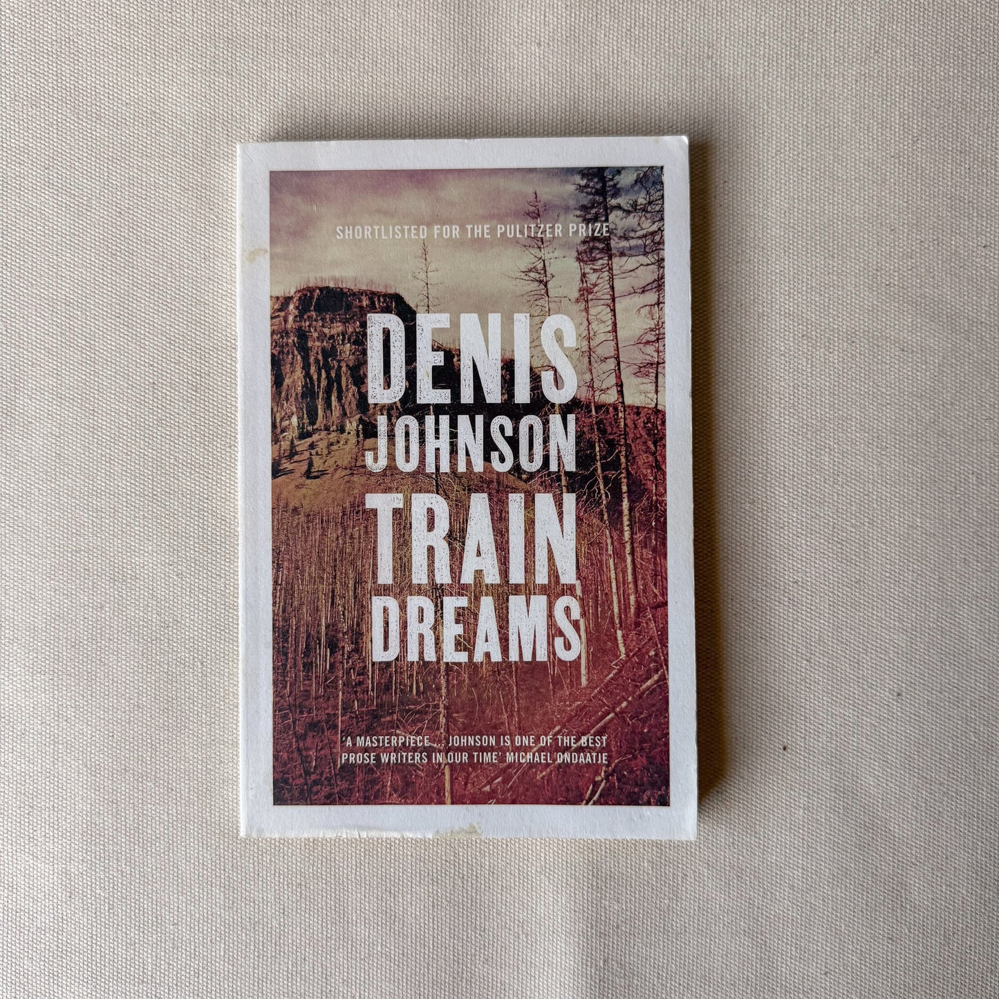 Train Dreams - Denis Johnson