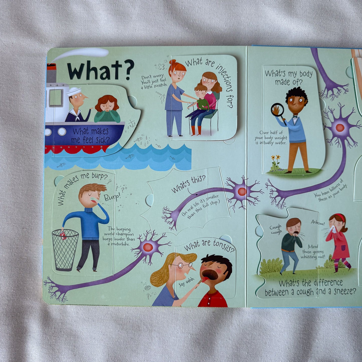 Lift-the-Flap Questions and Answers about Your Body